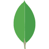 mongodb