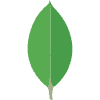 mongodb